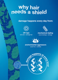 K18 Damage Shield information graphic