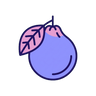 Bergamot