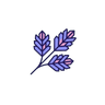 Cedarwood