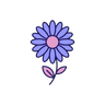 Chamomile
