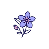 Orange Blossom