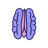 Pecan
