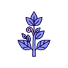 Peppermint