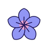 Plumeria