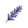 Rosemary