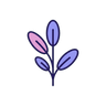 Sage