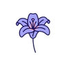 White Lily