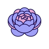 White Peony